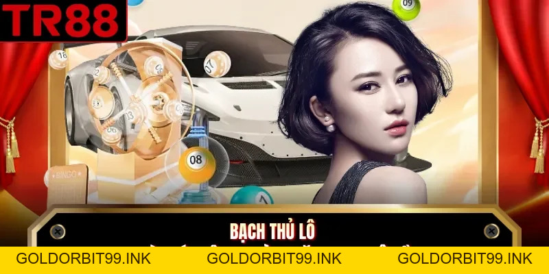 Bạch Thủ Lô - 5 Cách Bắt Cầu Siêu Chuẩn Tại Nhà Cái TR88 - GOLDORBIT99.INK