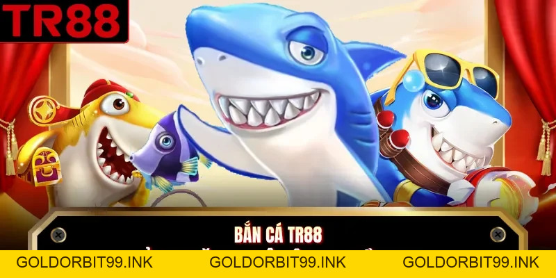 Đá Gà TR88 - Khám Phá Các Loại Hình Thi Đấu Chiến Kê  - GOLDORBIT99.INK