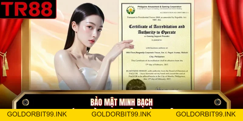 TR88 Có Uy Tín Không - Kiểm Chứng Dịch Vụ Và Vận Hành - GOLDORBIT99.INK