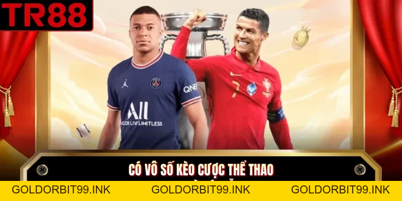 Thể Thao TR88 Cung Cấp Đa Dạng Bộ Môn, Kèo Cược Hấp Dẫn - GOLDORBIT99.INK