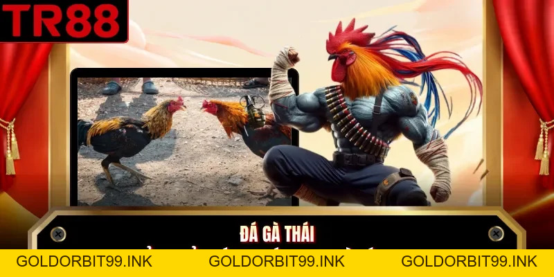 Tin Tức TR88 - Mẹo Cá Cược, Sự Kiện Hot, Thông Tin Về TR88 - GOLDORBIT99.INK