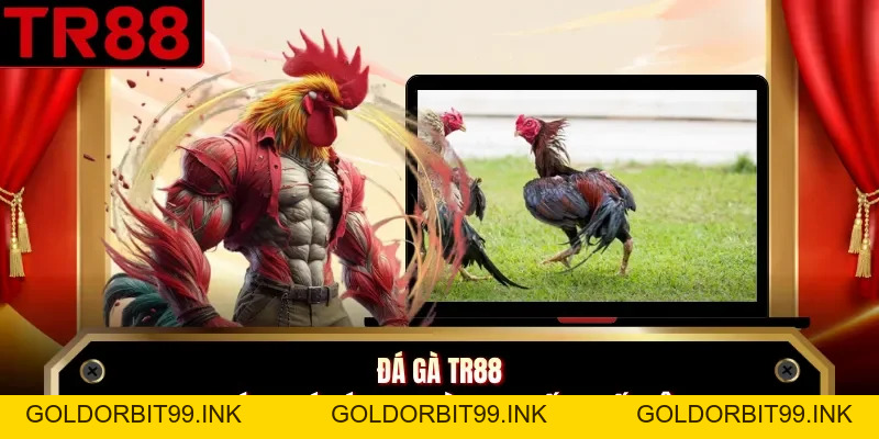 Casino TR88 - Sân Chơi Dành Cho Giới Thượng Lưu 2026 - GOLDORBIT99.INK