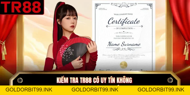 TR88 Có Uy Tín Không - Kiểm Chứng Dịch Vụ Và Vận Hành - GOLDORBIT99.INK