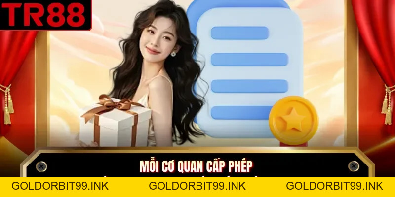Giấy Phép Hoạt Động TR88 - Yếu Tố Khẳng Định Chất Lượng - GOLDORBIT99.INK