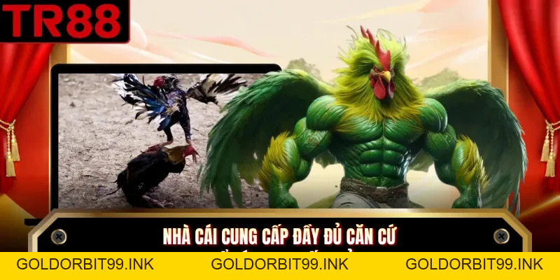 Đá Gà Thái - Sảnh Giải Trí Kịch Tính Tại Nhà Cái TR88 - GOLDORBIT99.INK