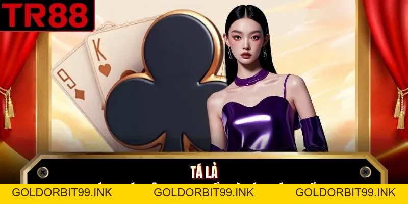 Tin Tức TR88 - Mẹo Cá Cược, Sự Kiện Hot, Thông Tin Về TR88 - GOLDORBIT99.INK