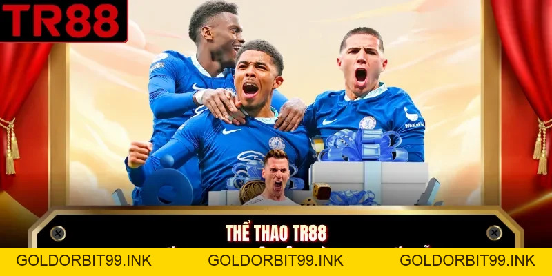 Đá Gà TR88 - Khám Phá Các Loại Hình Thi Đấu Chiến Kê  - GOLDORBIT99.INK