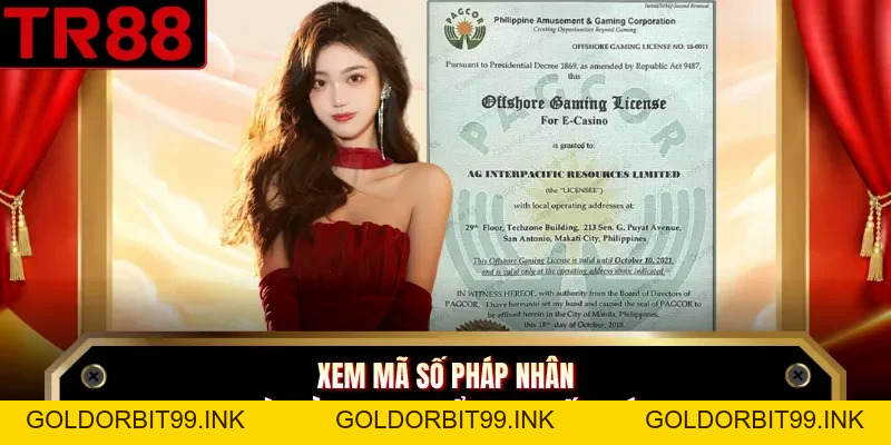 Giấy Phép Hoạt Động TR88 - Yếu Tố Khẳng Định Chất Lượng - GOLDORBIT99.INK